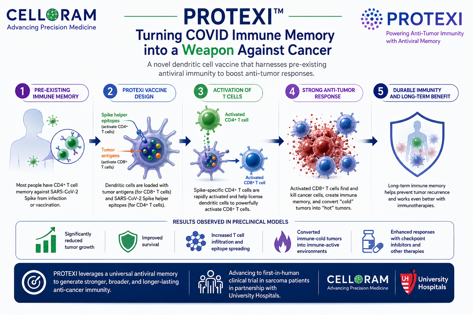 graphical abstract that explains how PROTEXI works graphical abstract that explains how PROTEXI works